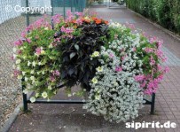 Blumeneinrichtung auf Stadtgeländer | Sipirit.de